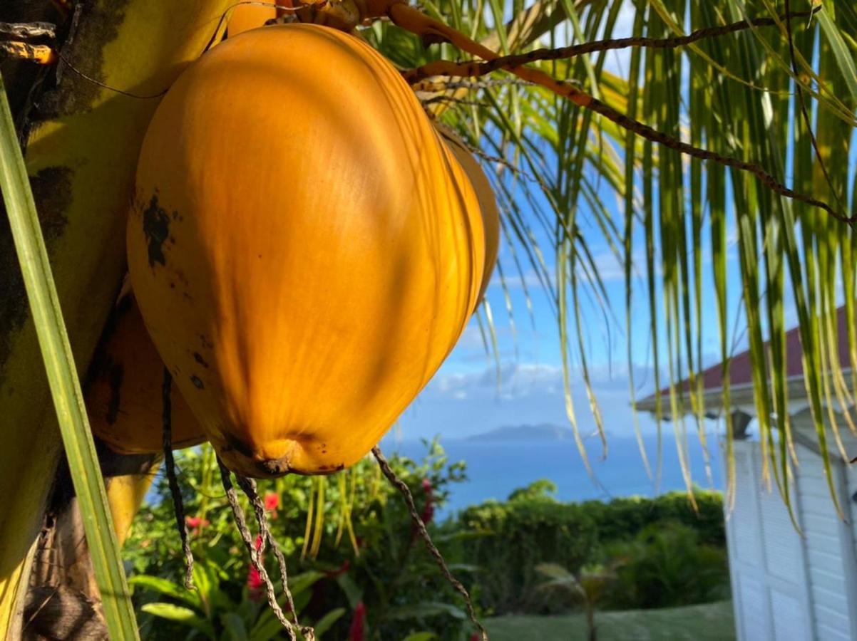 Villa Cajou Chambres D'Hotes Chez L'Habitant Et Zanzibar Cottage Trois-Rivières Eksteriør billede