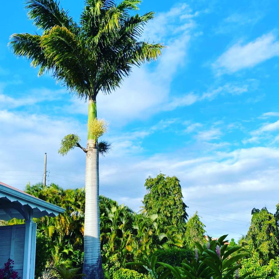 Villa Cajou Chambres D'Hotes Chez L'Habitant Et Zanzibar Cottage Trois-Rivières Eksteriør billede